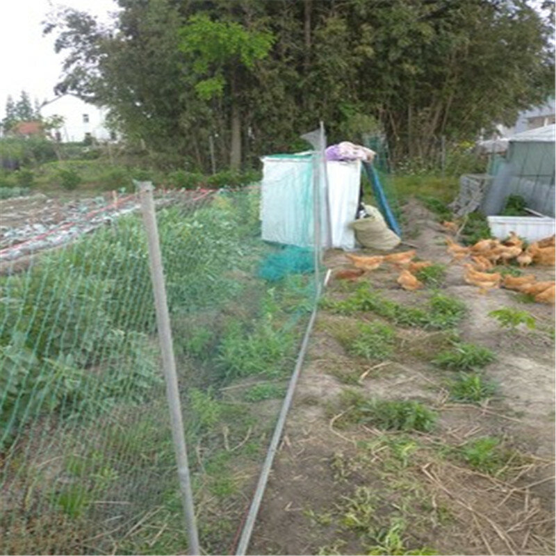 5m ,10m rete da recinzione da giardino Anti rete da pesca rete da pesca rete da giardinaggio rete per uccelli balcone domestico rete a prova di uccello rete da pollo