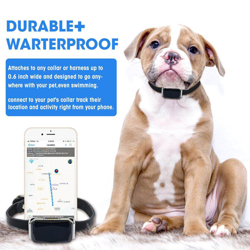 Collar inteligente de seguimiento GPS para mascotas, práctico rastreador impermeable antipérdida, para perros y gatos