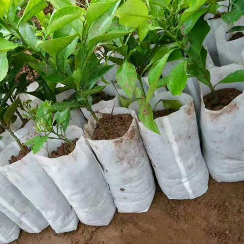 Macetas biodegradables no tejidas de diferentes tamaños, bolsas de plantación ecológicas para vivero, bolsas de cultivo de plantas para jardín, 100 Uds.