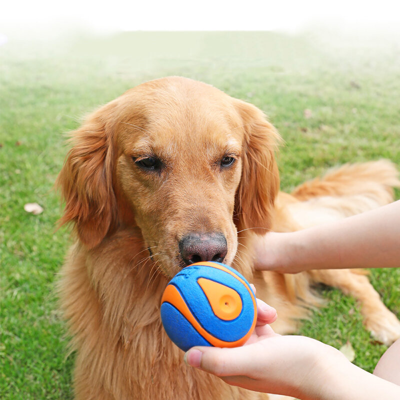 HOOPET-juguete masticable para perro, juguete de goma Natural no tóxica para mascotas, juguete para masticar con sonido, pelota divertida para perros pequeños y grandes
