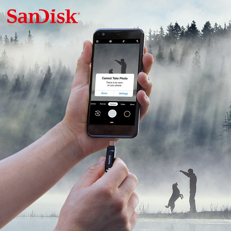 Флеш-накопитель Sandisk OTG SDDDC3 USB 3. 0 Type-C, 3,1/256/64/32 ГБ