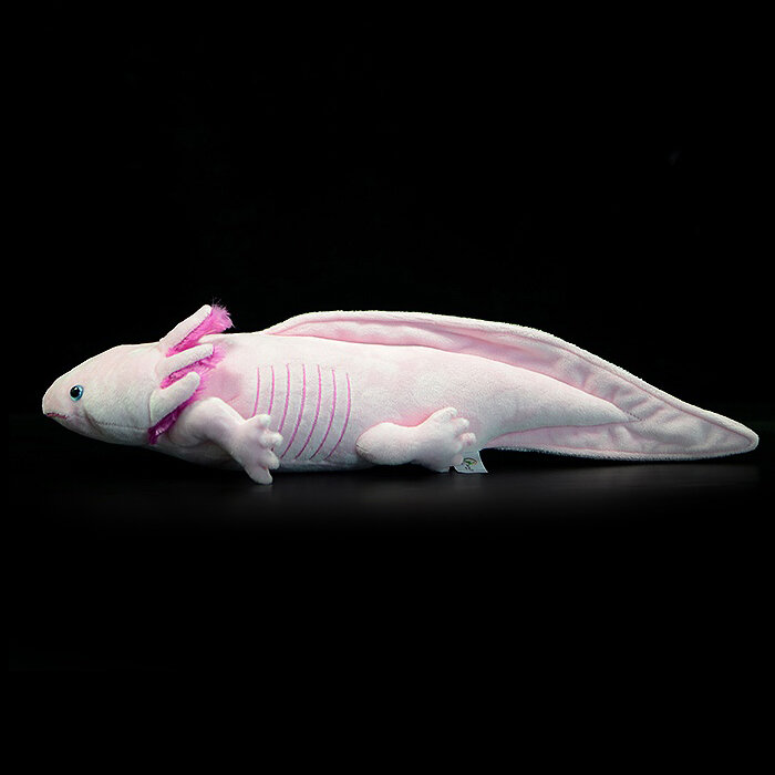 Axolotl Stuffed Plush Toy para crianças, Simulação da vida real, Ambystoma, Dinossauro mexicano, Modelo animal, Boneca fofa, Presente áudio