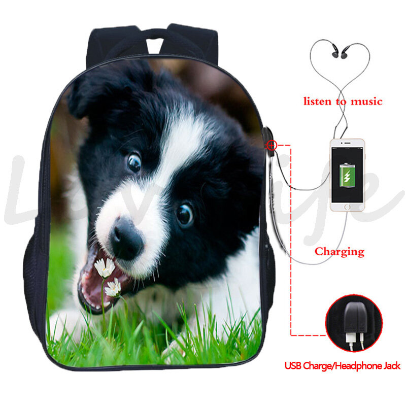 Sac à dos de berger allemand Animal chien Husky chargeur USB, sacs d'école bouledogue pour adolescents Boston Terrier