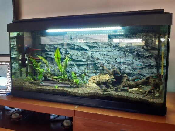 Mr.Tank — Affiche décorative adhésive de fond d'aquarium, texture pierre noire HD, effet 3D, décoration de fond de réservoir pour poissons