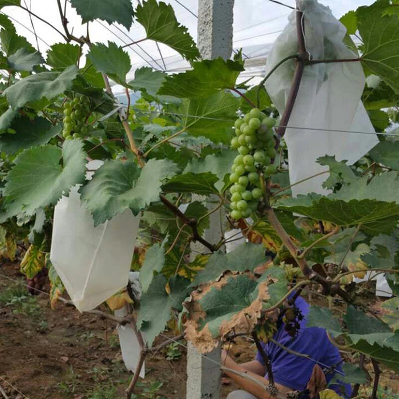 100 pçs jardim morango uvas frutas proteção sacos capa planta berçário saco anti-pássaro malha saco de controle de pragas jardinagem proteger