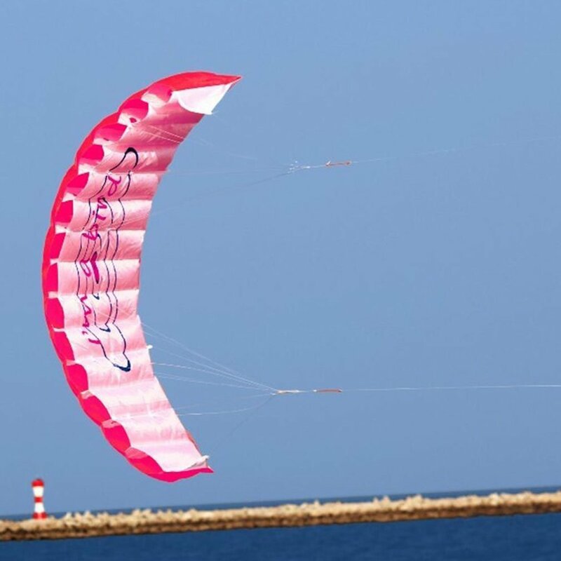 1.4m double ligne mélange couleur cascadeur Parachute doux Parafoil voile surf cerf-volant Sport cerf-volant énorme grande activité de plein air volant cerf-volant