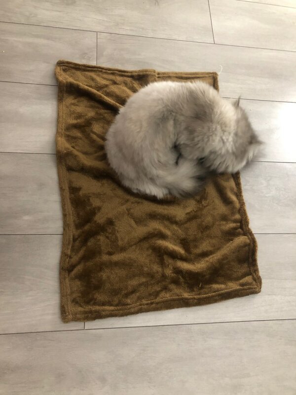 De peluche de felpa manta de lana pequeño muy cálidas sólida de Micro-¡alfombra sofá cama Oficina gato casero perro manta de niños