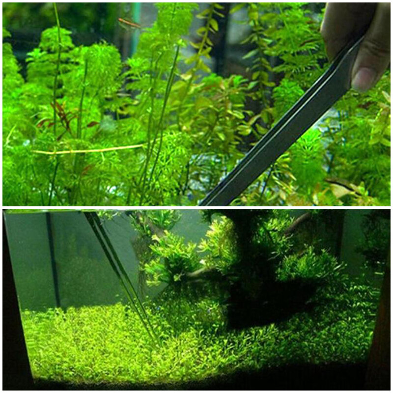 /4pcs 38/48cm Aquarium leben gerade Kurve Pflanze Pinzette Zange Garnelen Riff Tank krumme Pinzette