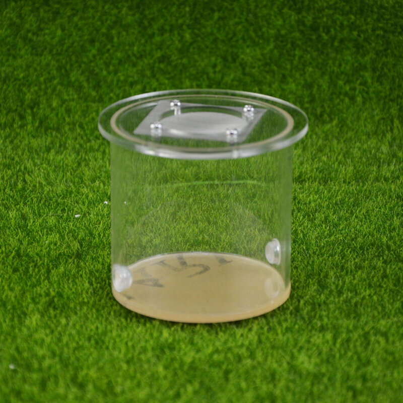 Zylinder Acryl box 6 cm/8 cm mit verbindung loch und abdeckung