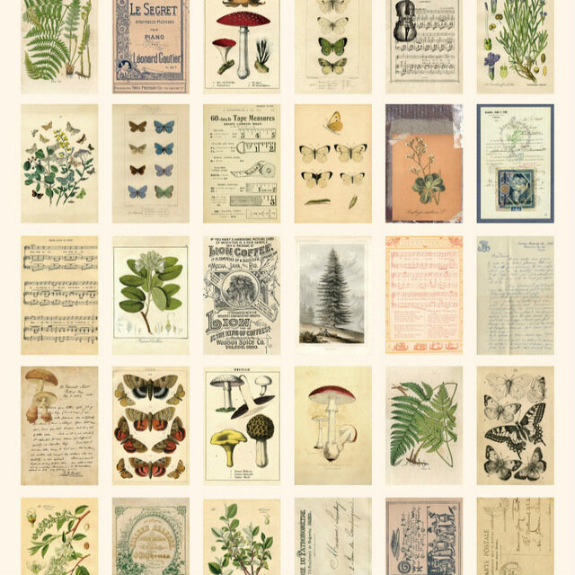 Journamm 30pcs/box Ancient Forest butter Animals Plants Mushroom Postcard Vintage Retro Creative Writing Greeting Gift Postcards
