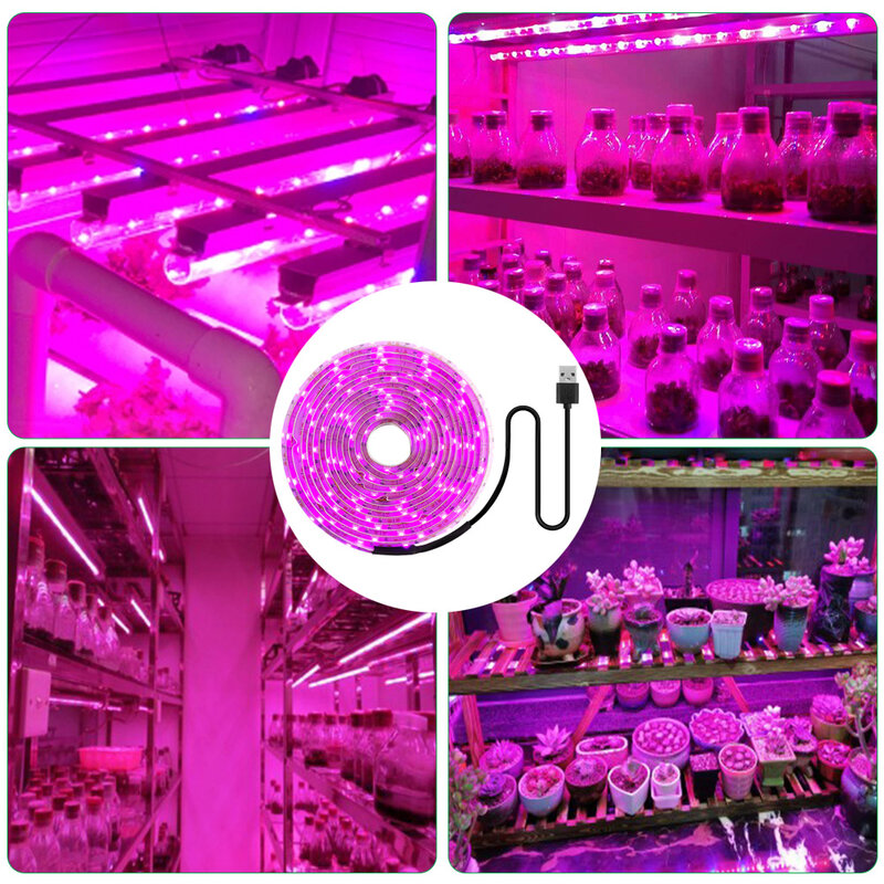풀 스펙트럼 LED 식물 성장 조명, 5V, USB, 2835 LED, 식물등, 온실, 수경 재배, 0.5M, 1M, 2M, 3M