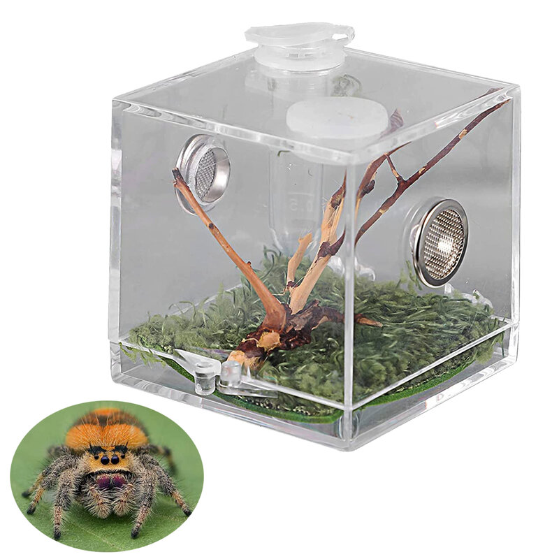 S/M/L Spider สัตว์เลื้อยคลาน Terrarium อะคริลิคสัตว์เลื้อยคลานกล่อง Terrarium อุปกรณ์เสริมแมลงกล่องสำหรับ Spider คริกเก็ต Snail tarantula
