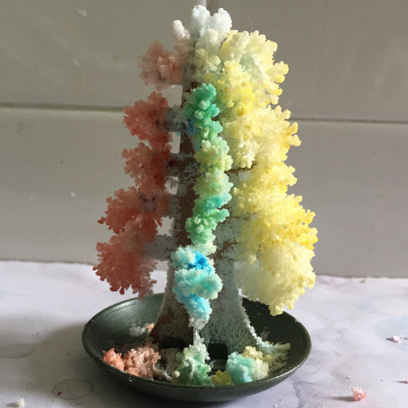 Iwish 2019 3 pçs 10x6cm diy visual multicolorido mágico crescer árvores de natal mágica crescente papel árvore japão crianças brinquedos para crianças