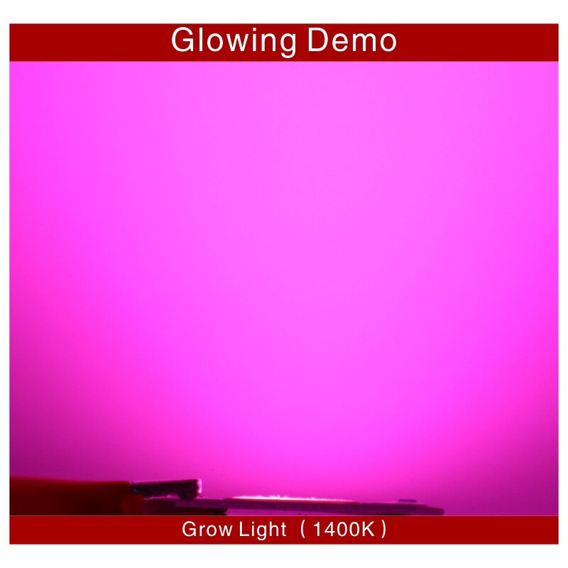 Full Spectrum LED Grow Chip para Planta de Interior e Flor, Cob Grow Light, 380nm-840nm, 10W, 20W, 30W, 50W, 110V, 220V