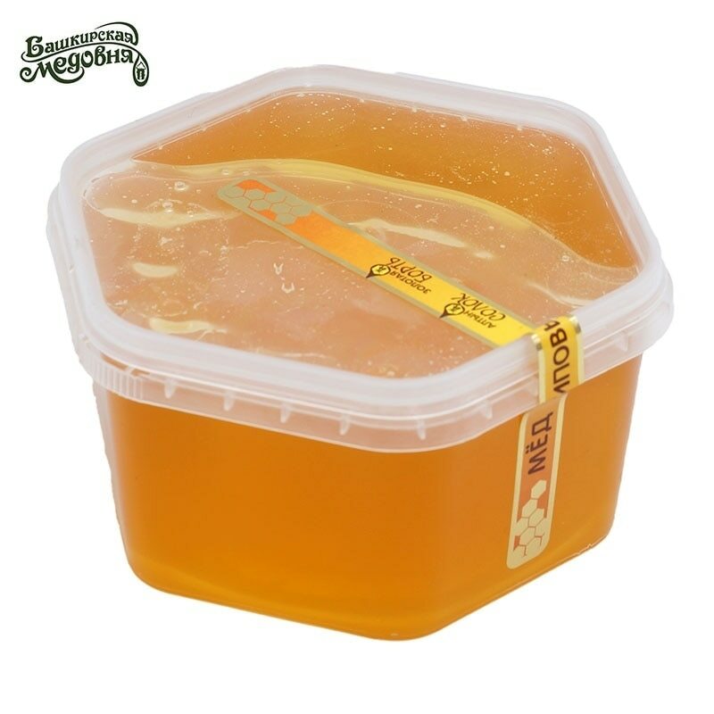 Miele Bashkir lime naturale Bashkir miele 500 grammi vaso di plastica tiglio dolci Altai alimentare