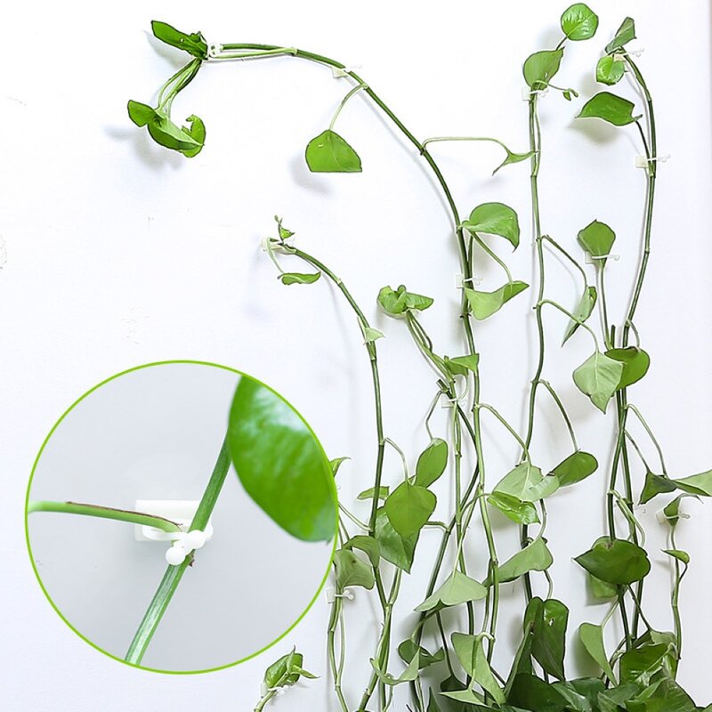 100Pcs Self-Adhesive Plant Climbing Wall Fixture Clips Home Vine Hanging Holder Hook Decoration