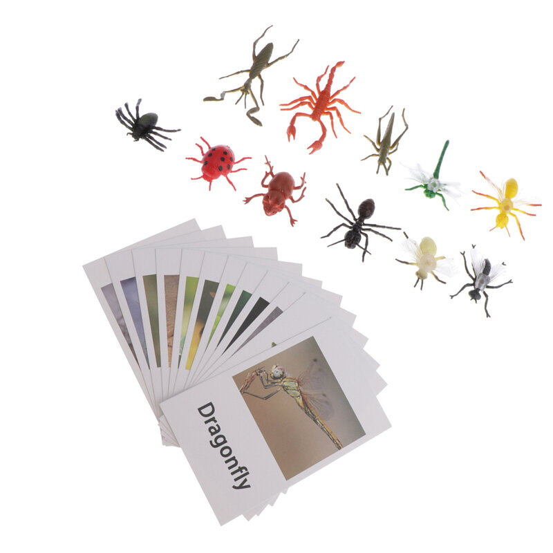 مونتيسوري الحشرات الحيوان مباراة-مصغرة الحشرات التماثيل 12 قطعة مع مطابقة بطاقات 12 قطعة-مونتيسوري التعلم لعبة