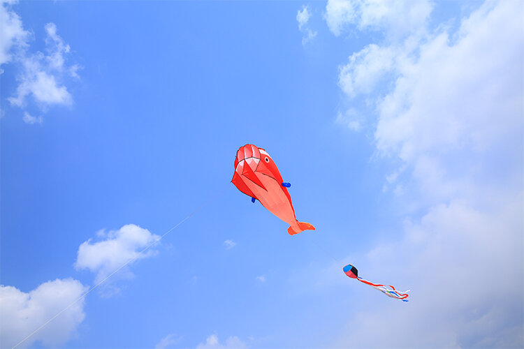 Grande Dolphin Flying Soft Kites Line, Nylon Outdoor Toys, Octopus Kite Factory, Alien Inflatable Kites, Frete Grátis