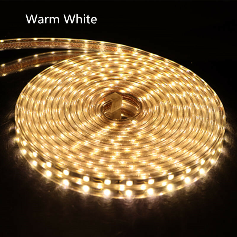 Tira de luz led flexible impermeable con enchufe para luz, SMD, 5050, AC220V, 60 leds/m, 1, 2, 3, 5, 6, 8, 9, 10, 15, 20m