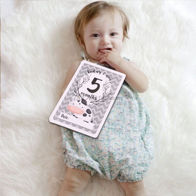 12 Lembar Tonggak Bayi Photograp Berbagi Hadiah Set Bayi Usia Kartu Bayi Tonggak Kartu Bayi Kartu Foto Baru Lahir Foto alat Peraga