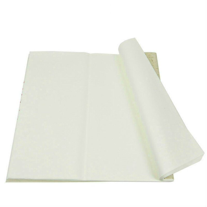 Tanpi玄紙100枚中国白檀樹皮ハーフ熟した玄紙中国書道風景画熟した玄紙
