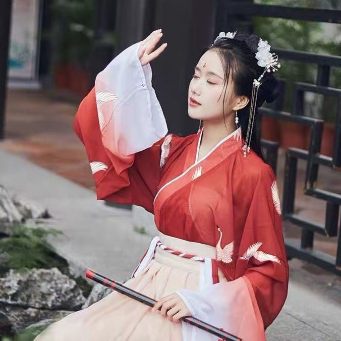 Female Festival Outfits Folk Dance Hanfu for Women  Vintage Retro Fairy Chinese Traditional Dress Embroidery Teen Girls Clothing