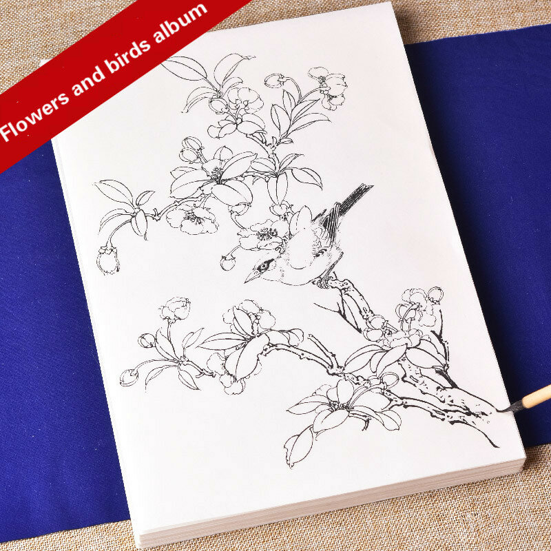 Linha de desenho xuan papel chinês desenho manuscrito cópia prática personagem básico tutorial iniciantes papel de arroz flores pássaros
