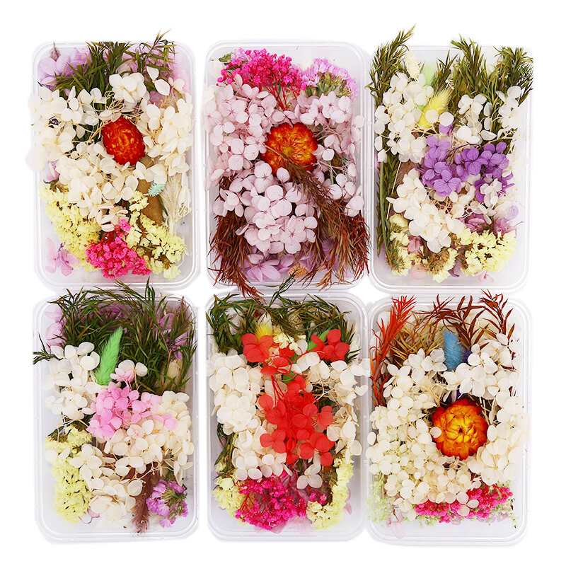 Decoração com flores secas e naturais 3d, adesivo floral, decalque para arte em unhas de beleza seca, molde epóxi, jóias de enchimento, 1 caixa