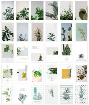 143mm x 93mm grüne pflanze papier postkarte (1pack = 30 stück)