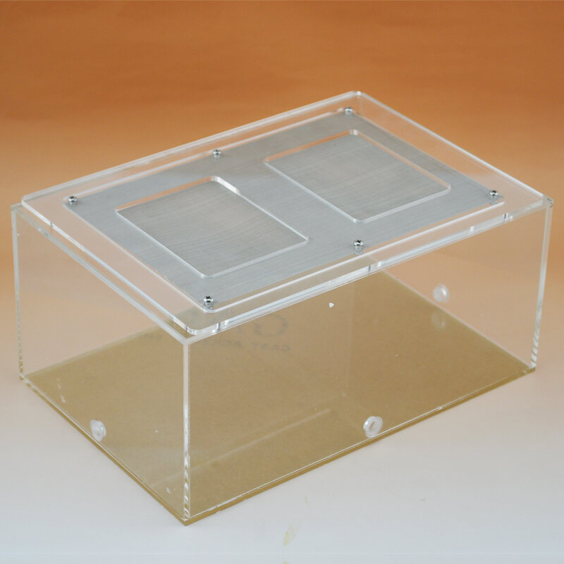 Big feeding area made by acrylic ants&insects box 26*17*12cm