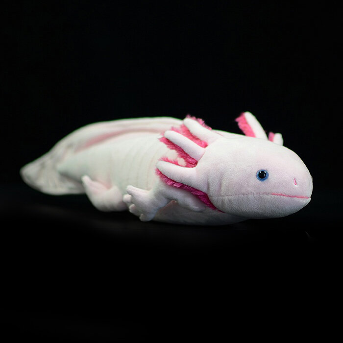 น่ารัก Axolotl ตุ๊กตาของเล่นตุ๊กตาชีวิตจริงจำลอง Ambystoma Mexicanum ไดโนเสาร์สัตว์ตุ๊กตา Plush สำหรับเด็กผู้ใหญ่ของขวัญ