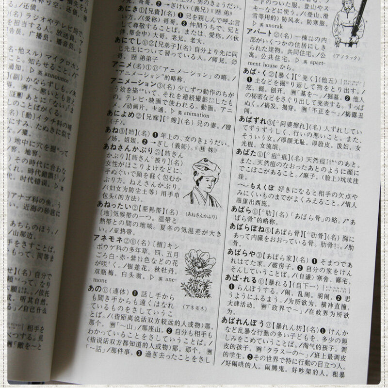 Nowe japońskie-chiński słownik, ucz się japońskiej książki referencyjnej