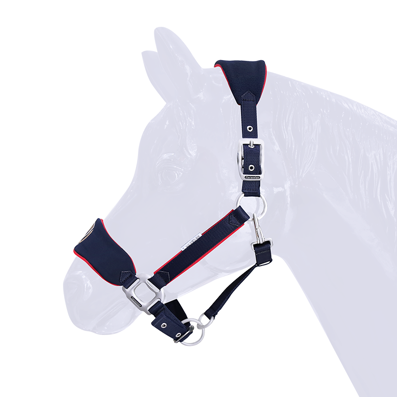 Походная уздечка, регулируемая уздечка для лошади, металлические детали высокого качества, оборудование для конного спорта Ho
