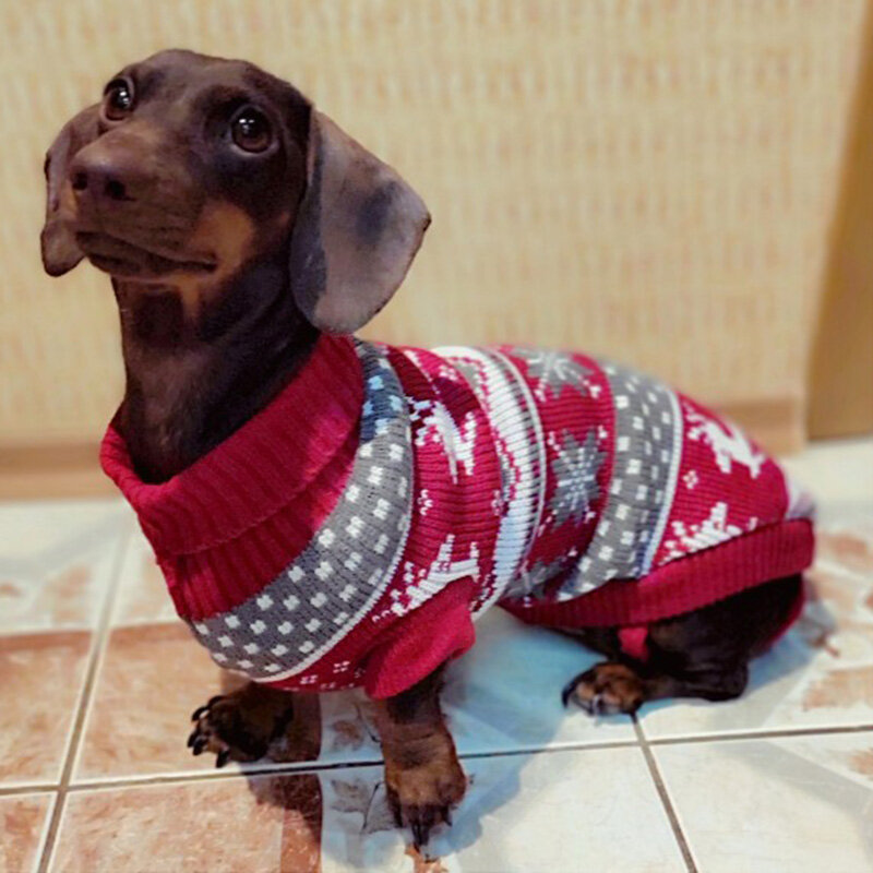 Suéter bonito para perro pequeño, ropa cálida de invierno para cachorro y gato, disfraz de perro salchicha