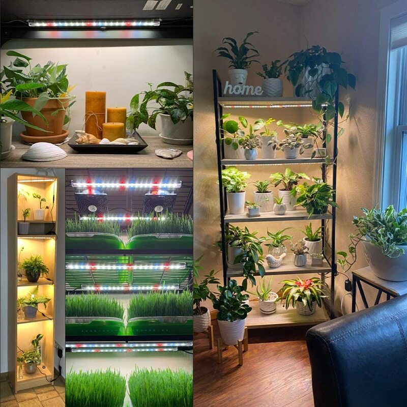 Lampe Phyamp pour plantes serres, lumière LED rouge complète, minuterie automatique, lampe pour plantes d'intérieur, lumière de croissance, 6 paquets d'informations