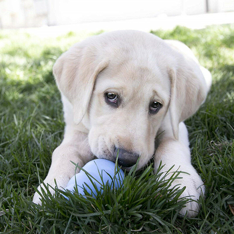 KONG Puppy giocattolo da masticare per cani in gomma naturale per dentizione con la tua scelta di giocattolo per cani XS-L