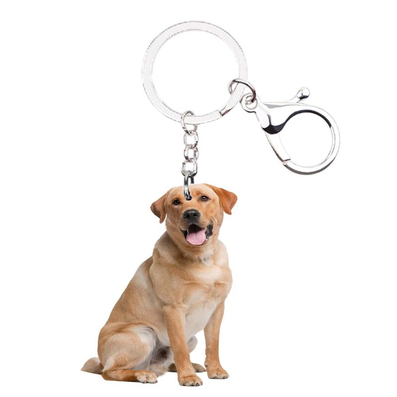 Porte-clés chien labrador retriever, animal, acrylique, non 3D, llaveros, kawaii pour lui, accessoires, breloques mignonnes, mini tendance