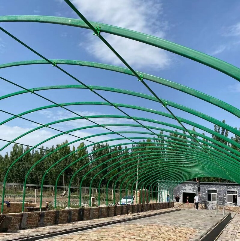 A New Type Of Super Strong Plastic Clad Steel Frame Greenhouse
