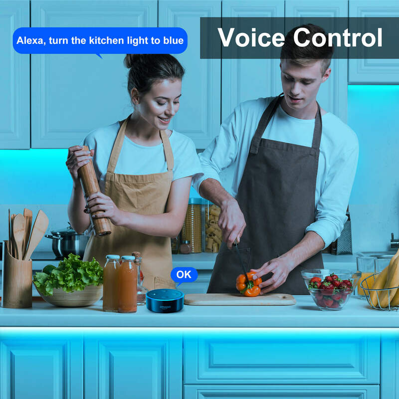 สมาร์ท WiFi แอดเดรส RGB Strip ไฟ Alexa Wireless LED Controller ป้ายนีออนทำงานร่วมกับ Alexa และ Google Assistant เพลง Sync