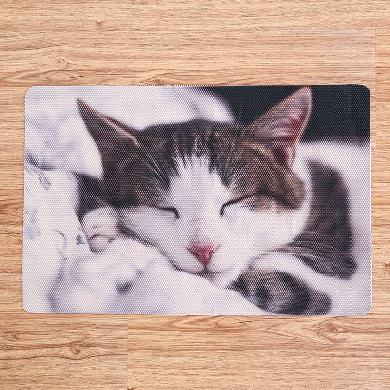 방수 고양이 쓰레기 매트 PVC 빨 인쇄 귀여운 비 슬립 패드 애완 동물 용품 모래 고양이 화장실 클린 매트 애완 동물 용품