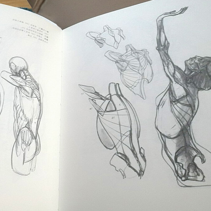 새로운 속도 인간 형태 제로 베이스 미술 초심자 자습 도서 아트 페인팅 스케치 리브로스