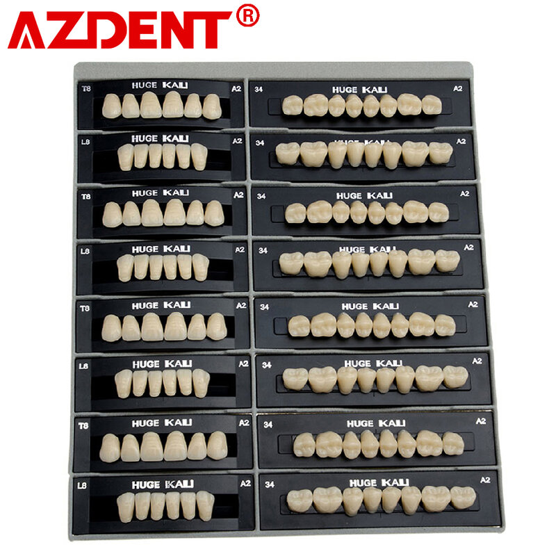 4 sets/box dental sintético polímero dentes resina dentadura dental dentes modelo