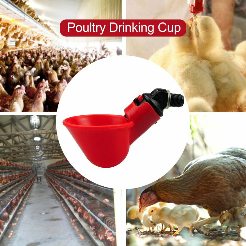 1PC Fully Automatic Poultry Drinking Cup Chicken Pigeon Waterer Water Saving Durable Drinking Bowl Poultry Feeder