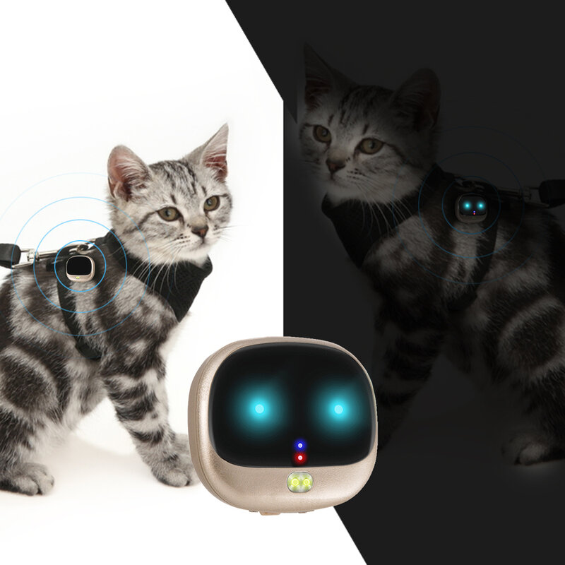 Mini collier GPS pour chien et chat, étanche, pour l'intérieur et l'extérieur, avec LBS, bon marché, RYDV47