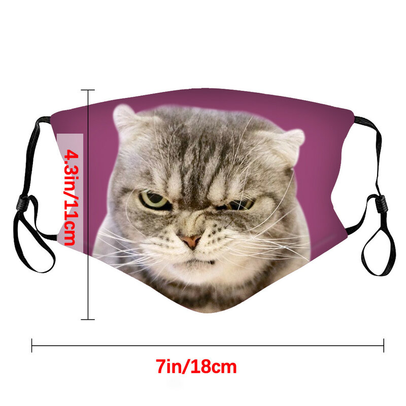 1PC Adult Mask Fashionable Reuseable Flash Mask Breathable Outdoor Protection Antidust Mouth Funny Cute Cat Décoration Printed