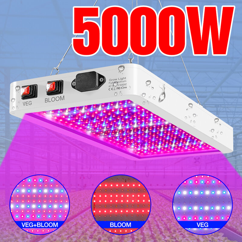 LED Fitolamp Spektrum Penuh Tanaman Lampu 4000W 5000W Bibit Fito Lampu Indoor LED Tahan Air Phyto Lampu untuk Rumah Kaca tumbuh Kotak