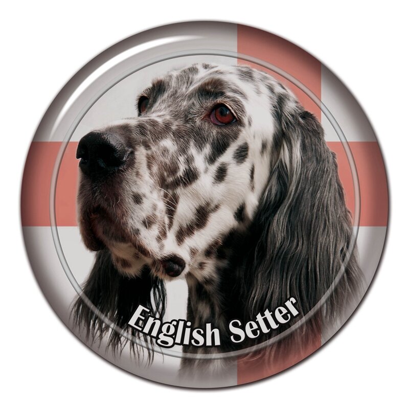Auto-adesivo Decalque Inglês Setter Dog, Etiqueta Do Carro V1, B0852 #, 13cm, 20cm, Decors on Bumper, Janela Traseira, Laptop