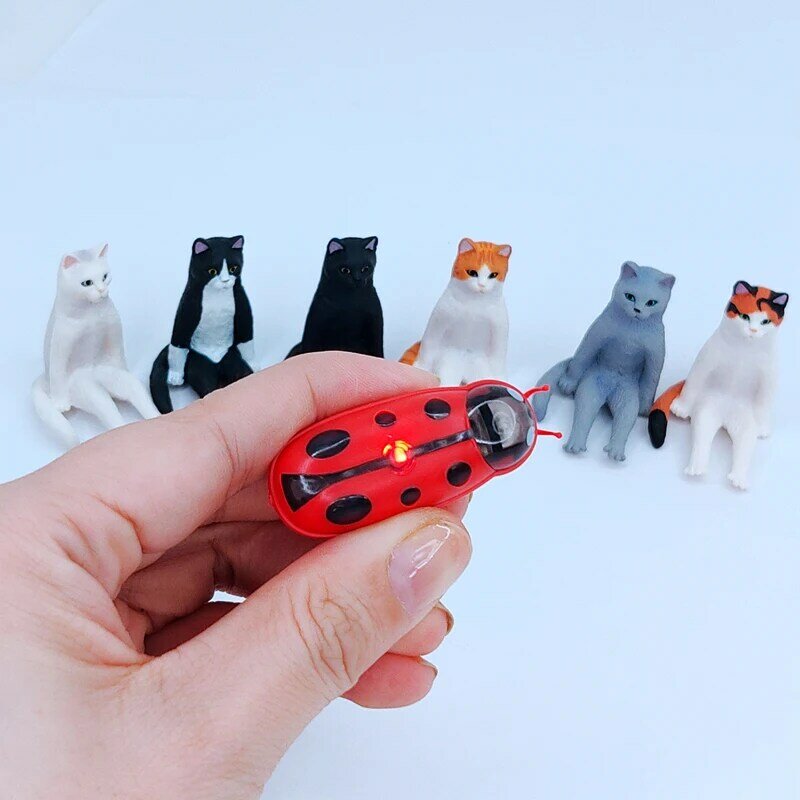 [Mpk] 애완 동물, 고양이-미친 장난감, 고양이 장난감을 즐겁게하기위한 빠른 이동 마이크로 로봇 버그 장난감