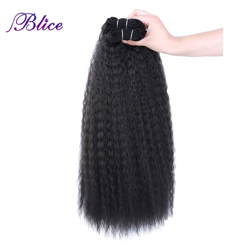 Blice Synthetic Hair Bundles With Closure 2 Pieces Kinky Straight Hair Weaving With Closures For Women 10-30 Inch