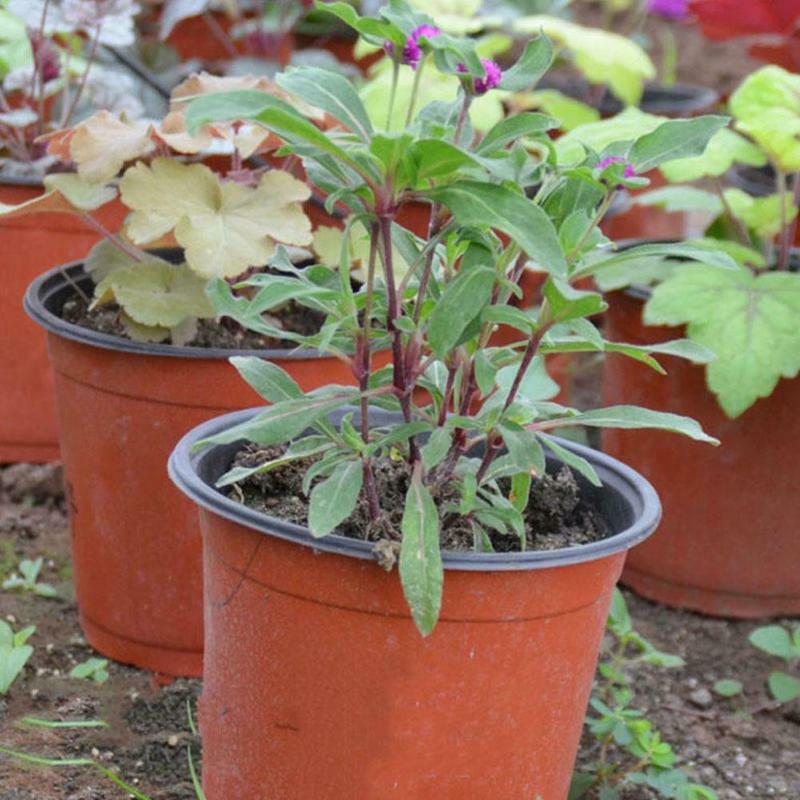 Kotak Plastik Tumbuh Tahan Jatuh Bibit Nampan untuk Rumah Taman Tanaman Pot Pembibitan Transplantasi Bunga Bibit Pot 2020 Panas